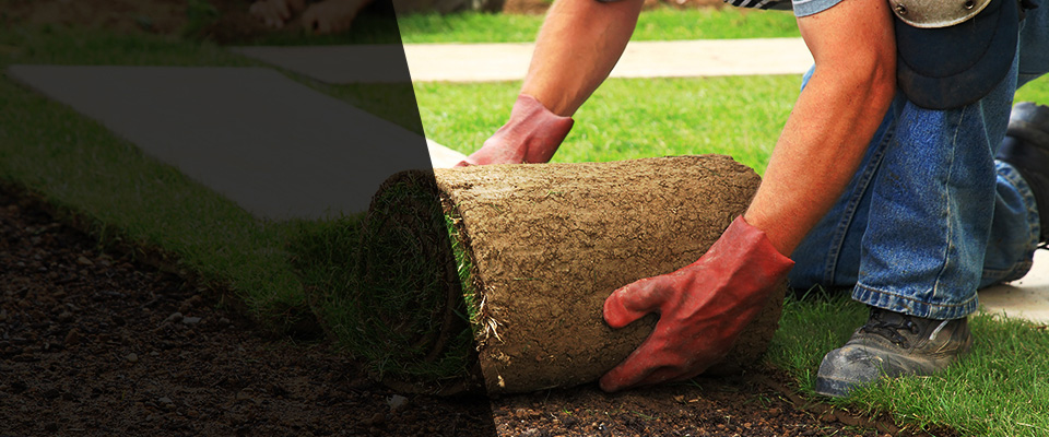 Brockton Landscapers